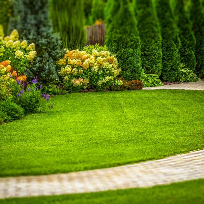 Lush, Well-Planned Landscaping