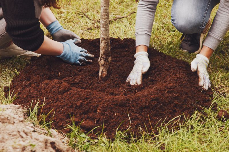 Ornamental Tree Planting