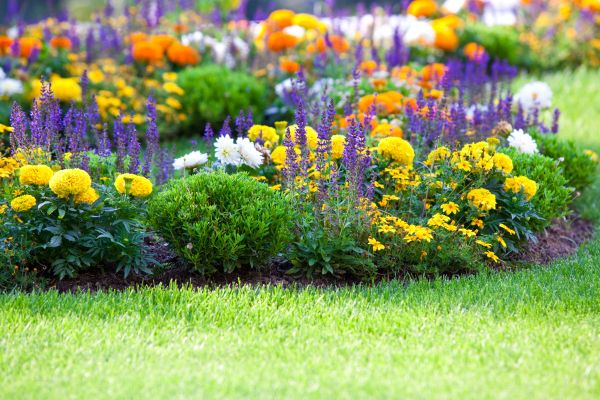 Flower Bed Maintenance in Farmington