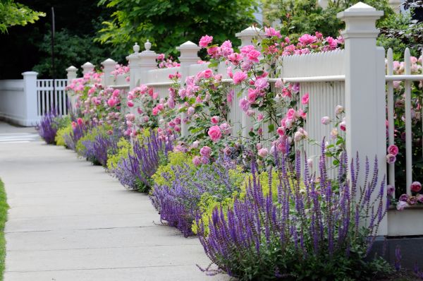 Garden Handyman Service in Farmington