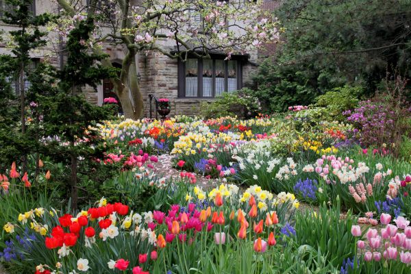 Garden Maintenance Service in Farmington