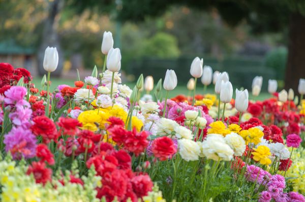 Gardening Service in Farmington