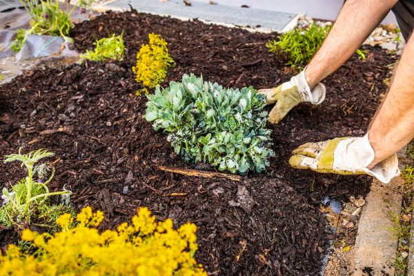 Weeding And Mulching in Farmington