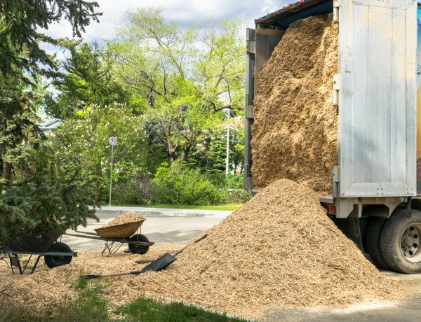 Wood Chips Delivery in Farmington