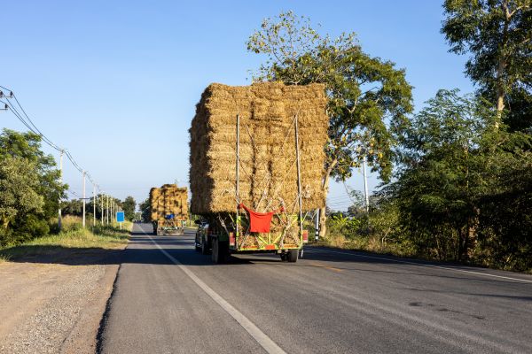 Pine Straw Delivery in Farmington