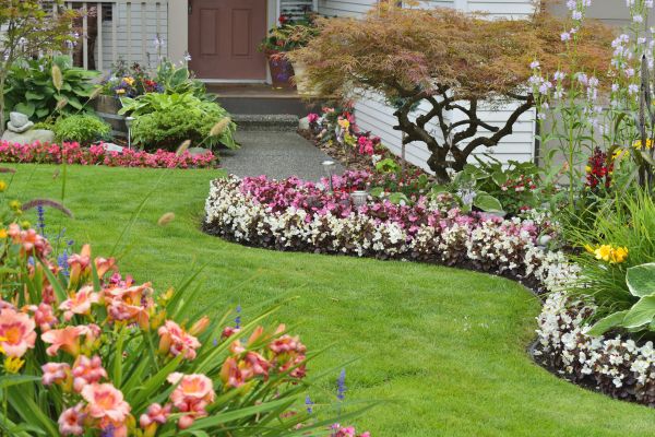 Perennial Landscaping in Farmington
