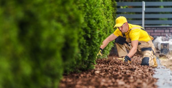 Cypress Mulch Installation in Farmington