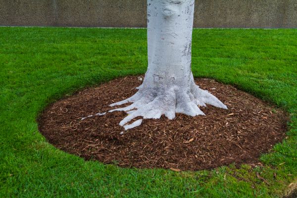 Brown Mulch Installation in Farmington