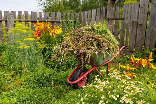 Garden Cleanup Service in Farmington