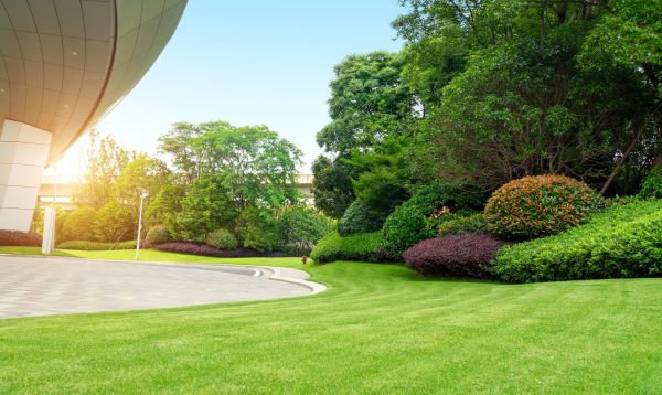 Business Landscape Design in Farmington