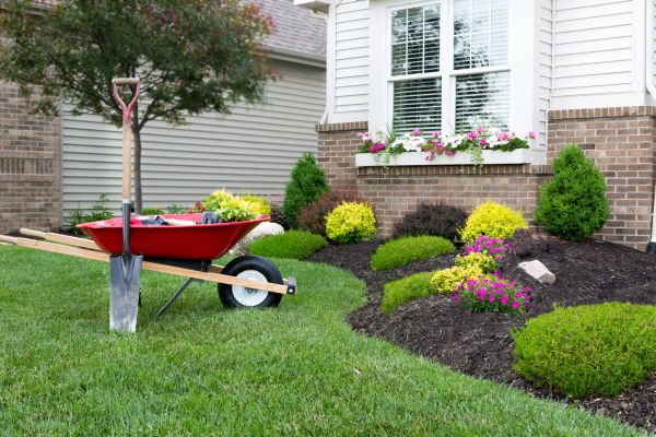 Tree And Shrub Planting in Farmington