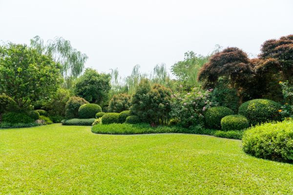 Tree Landscaping in Farmington