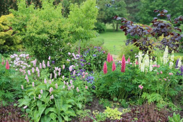 Flower Bed Planting in Farmington