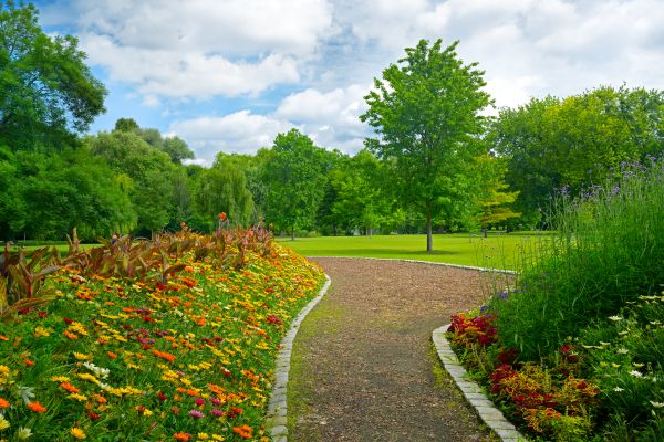 Park Landscaping in Farmington