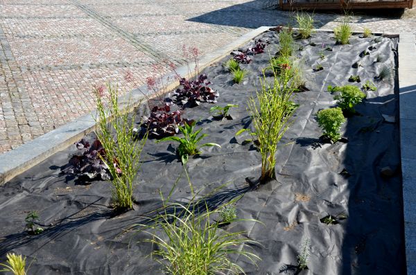 Landscape Fabric Installation in Farmington