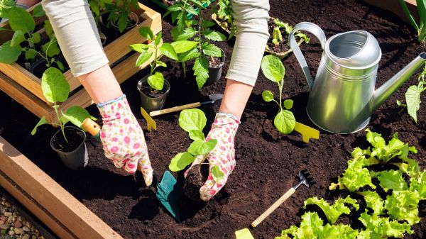 Garden Bed Installation in Farmington