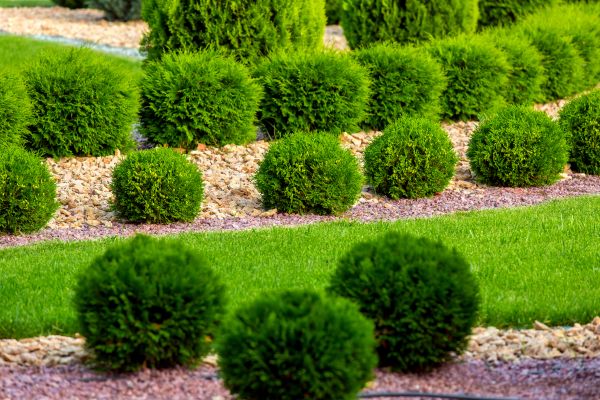 Bush Replacement in Farmington