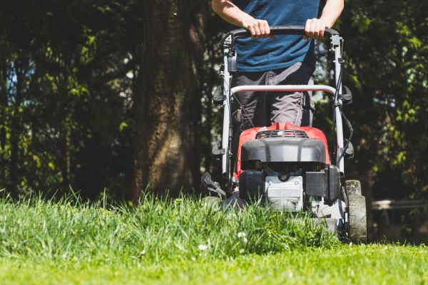 Garden Trimming Service in Farmington