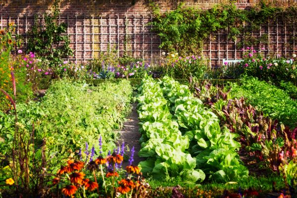 Garden Planting Service in Farmington