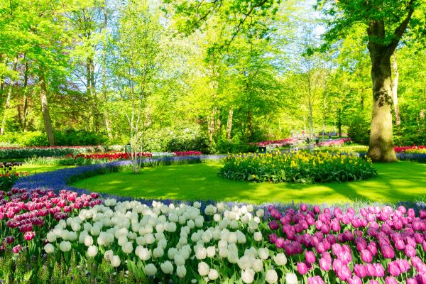 Flower Landscaping in Farmington