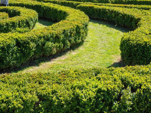 Bush Landscaping in Farmington