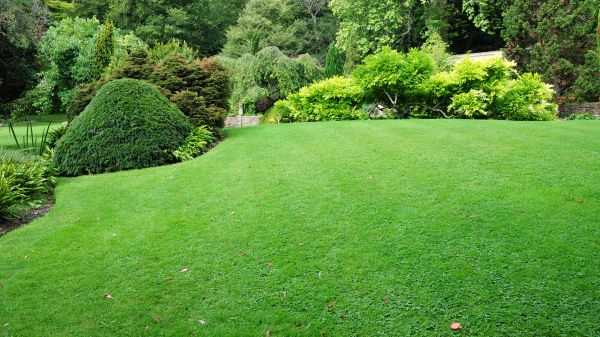 Commercial Landscape Design in Farmington
