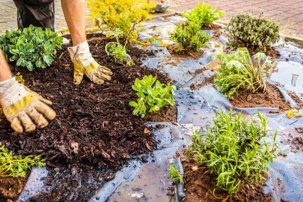 Mulch Fabric Installation in Farmington