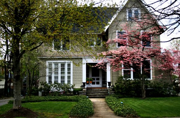 Ornamental Tree Planting in Farmington