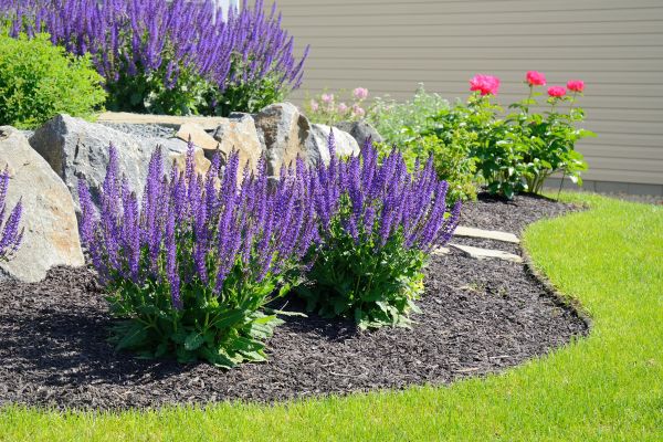 Landscape Planting Service in Farmington