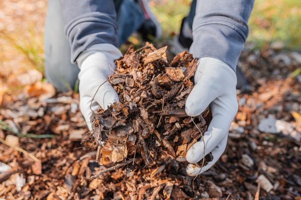 Shredded Mulch Installation in Farmington