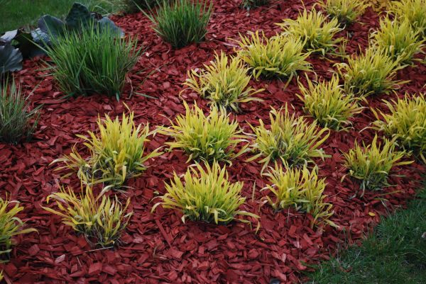 Red Mulch Installation in Farmington