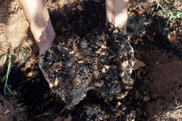 Organic Mulch Installation in Farmington