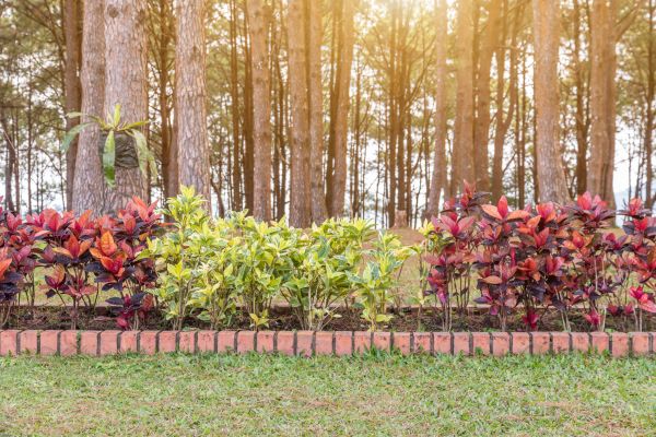 Small Garden Landscaping in Farmington