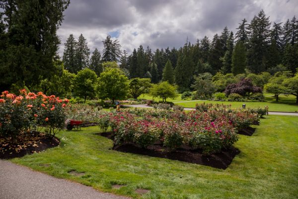 Flower Garden Landscaping in Farmington