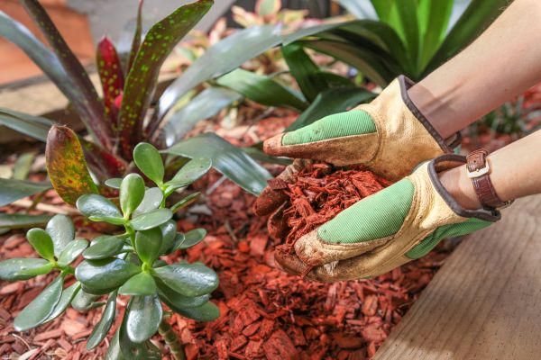 Cedar Mulch Installation in Farmington