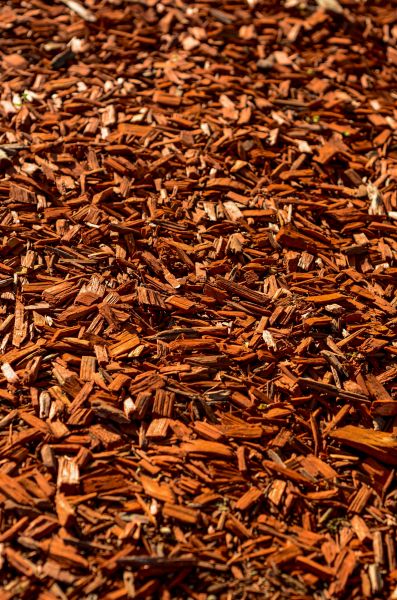 Cedar Mulch Spreading in Farmington
