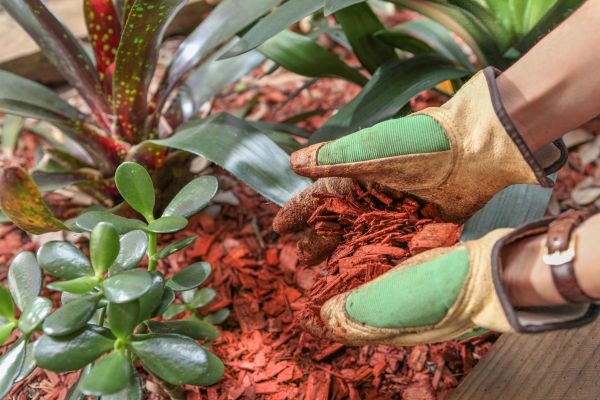 Residential Mulching in Farmington