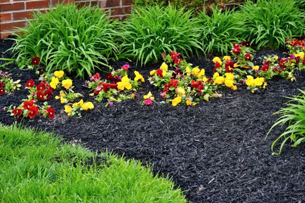 Apartment Mulching in Farmington